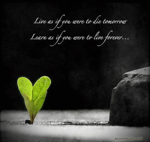 i love you quotes and poems. i love you quotes and. He i love you quotes and poems. i love you quotes and poems. i love you quotes and. He