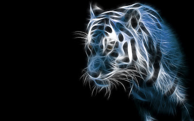 3d wallpapers hd