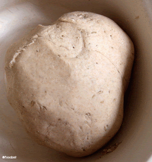 fresh kneaded dough ball