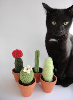 Crochet cactus: Lazymuse