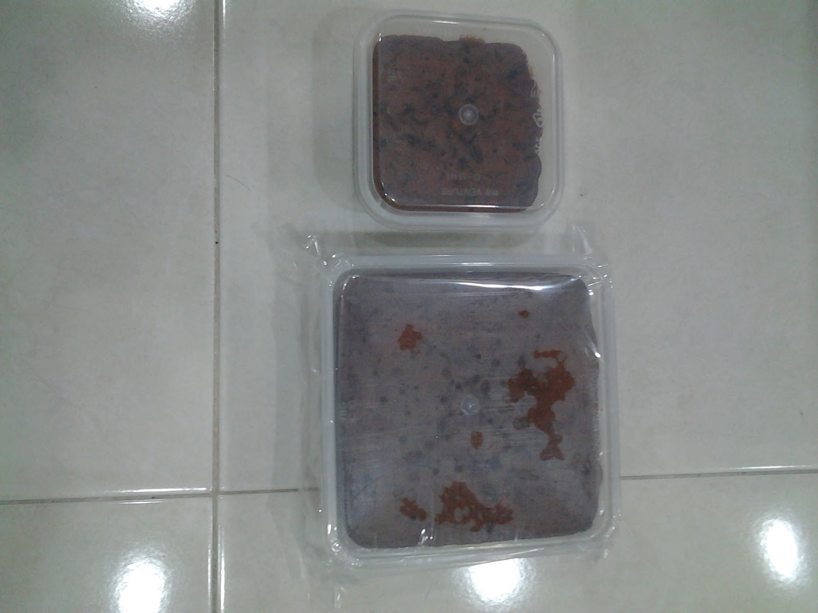 Kek Buah (kecil - 250g & besar - 750g )