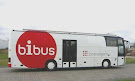 Bibus