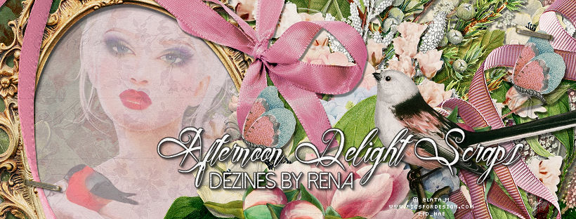 Afternoon Delight Scraps-Dezines by Rena