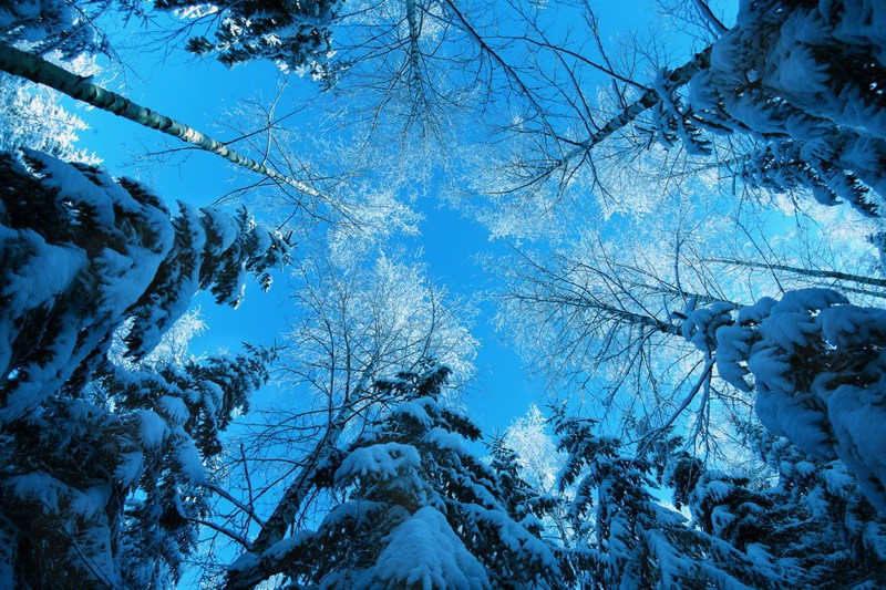 Красивые зимние фотографии (25 фото)