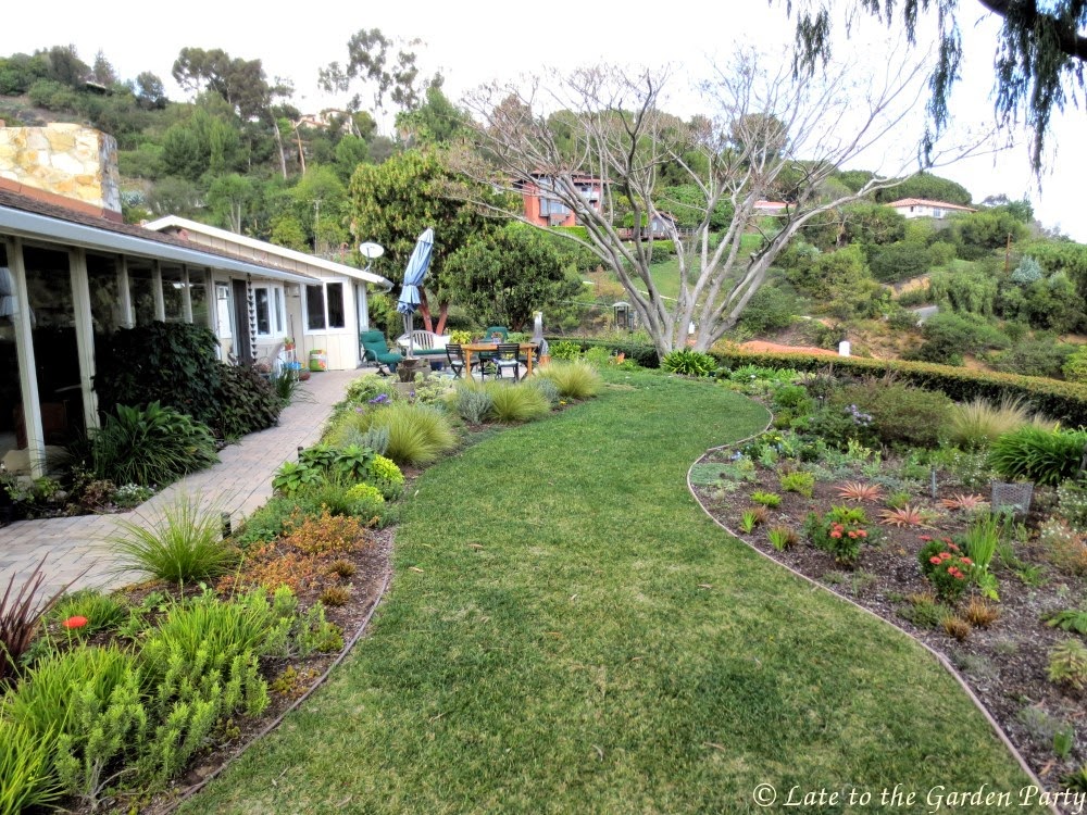 Late To The Garden Party My Favorite Spring Plant Combinations