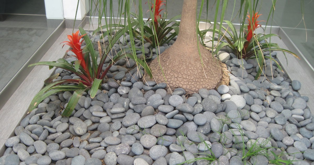 Jardinería Mundo Verde: DECORACION DE JARDINES CON PIEDRAS DECORATIVAS