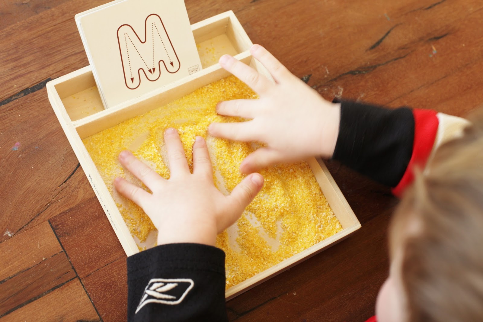 Why i love cats essay image