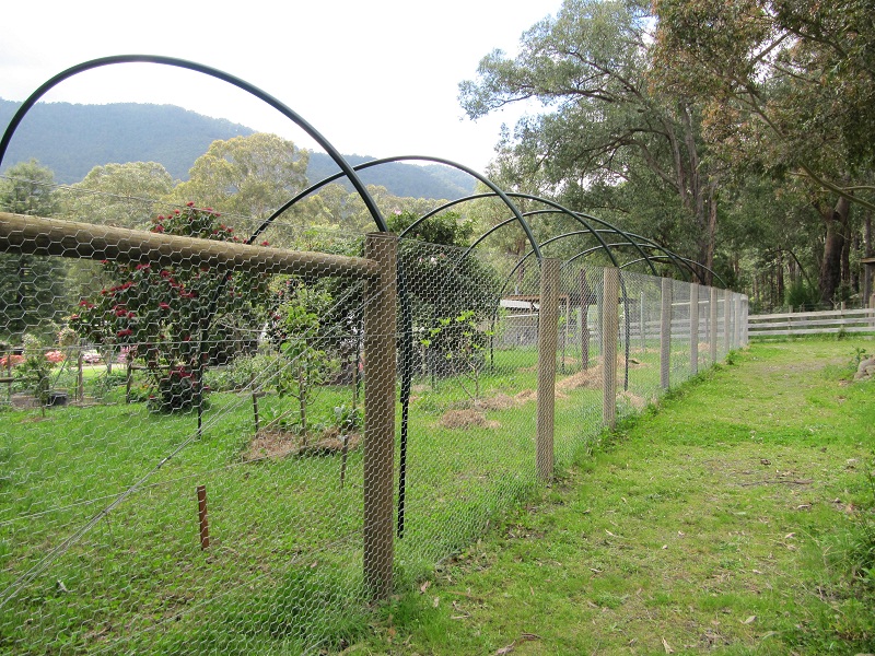 Badger Farm bird netting for fruit trees