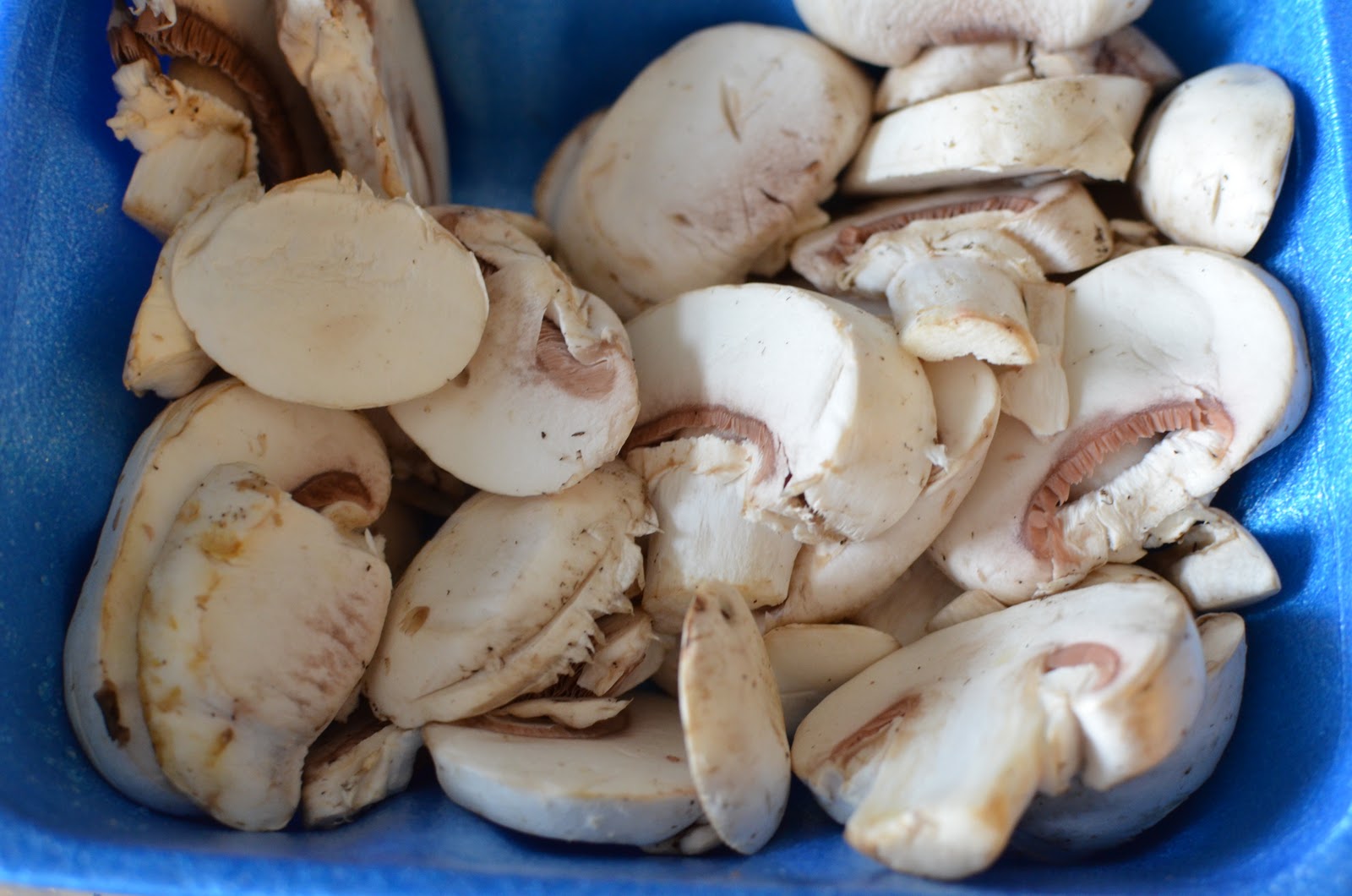 How to Dehydrate Mushrooms Provident Princess