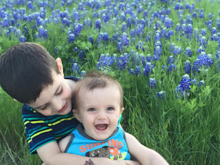 My boys in the bluebonnets