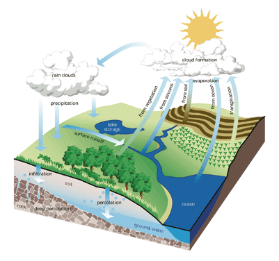 labeling water cycle worksheet. The+water+cycle+diagram+