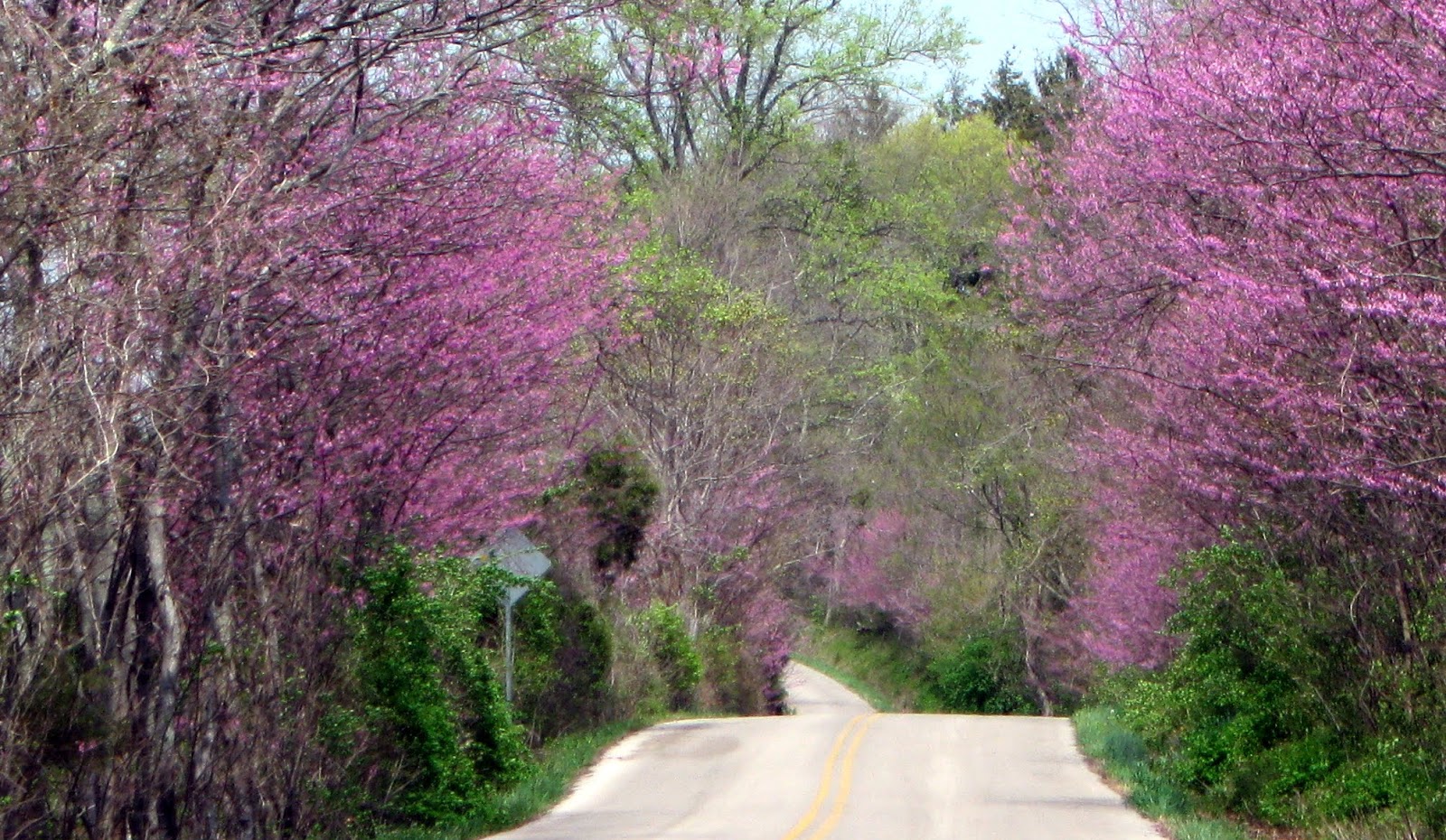 FOLKWAYS NOTEBOOK: April 2011