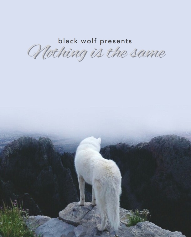 Nothing is the same by Black Wolf