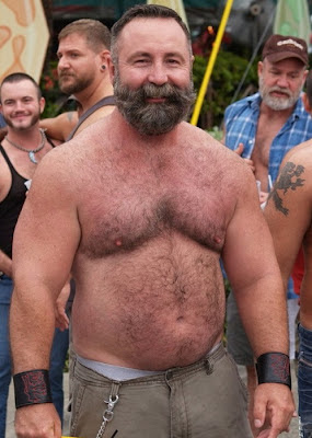 hairy - daddy bears