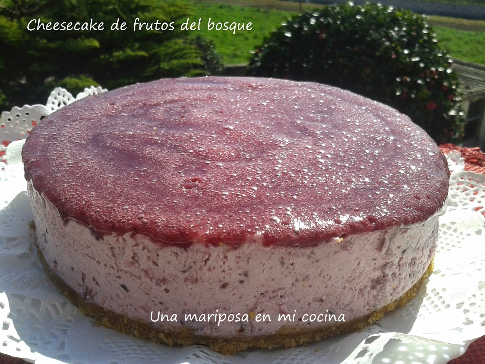 Cheessecake De Frutos Del Bosque Y 3 Cumpleblog
