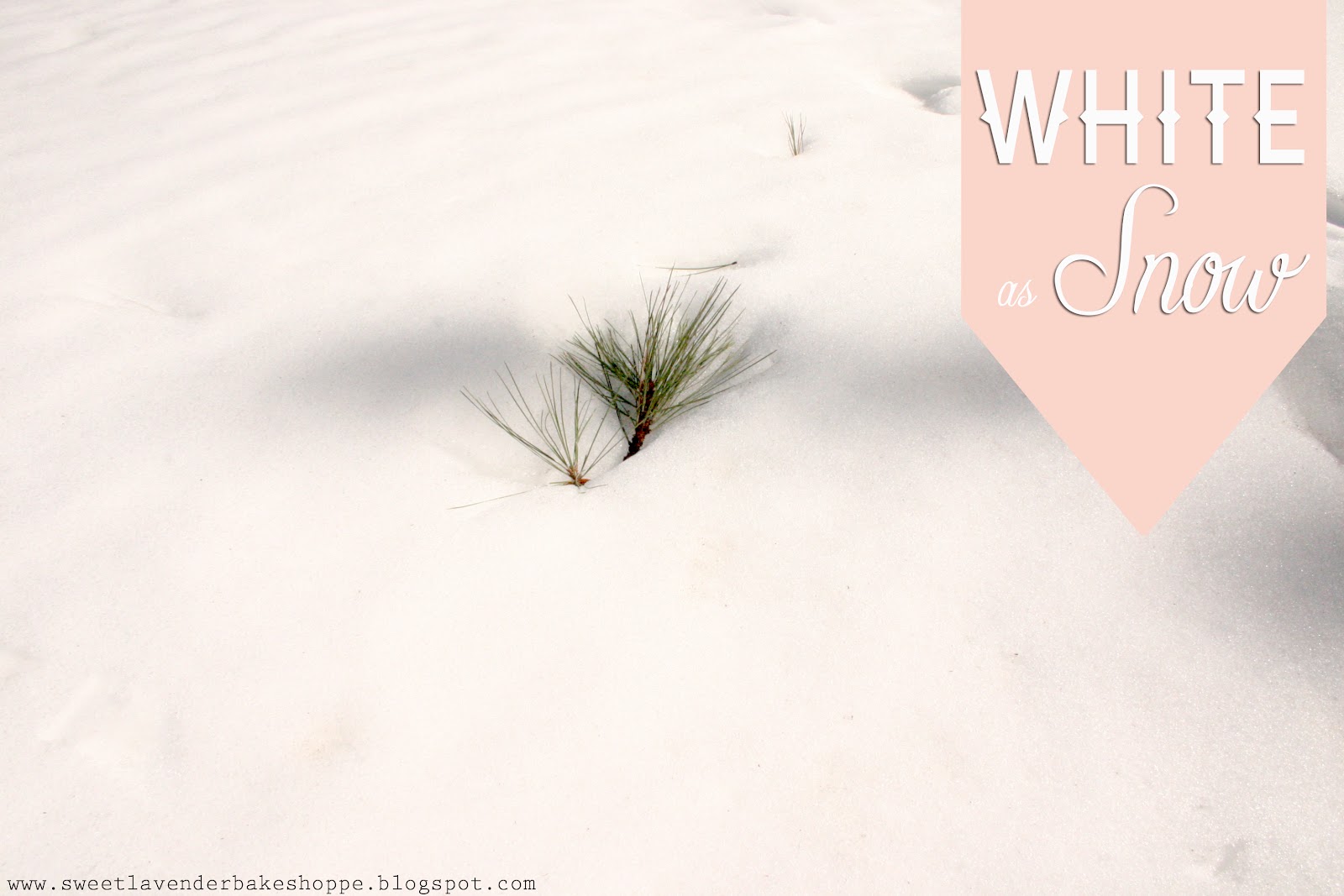 White As Snow