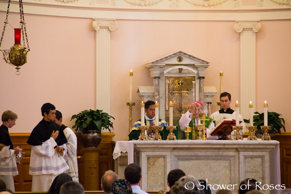 Shower of Roses Seven Quick Takes From Our Trip Last Weekend