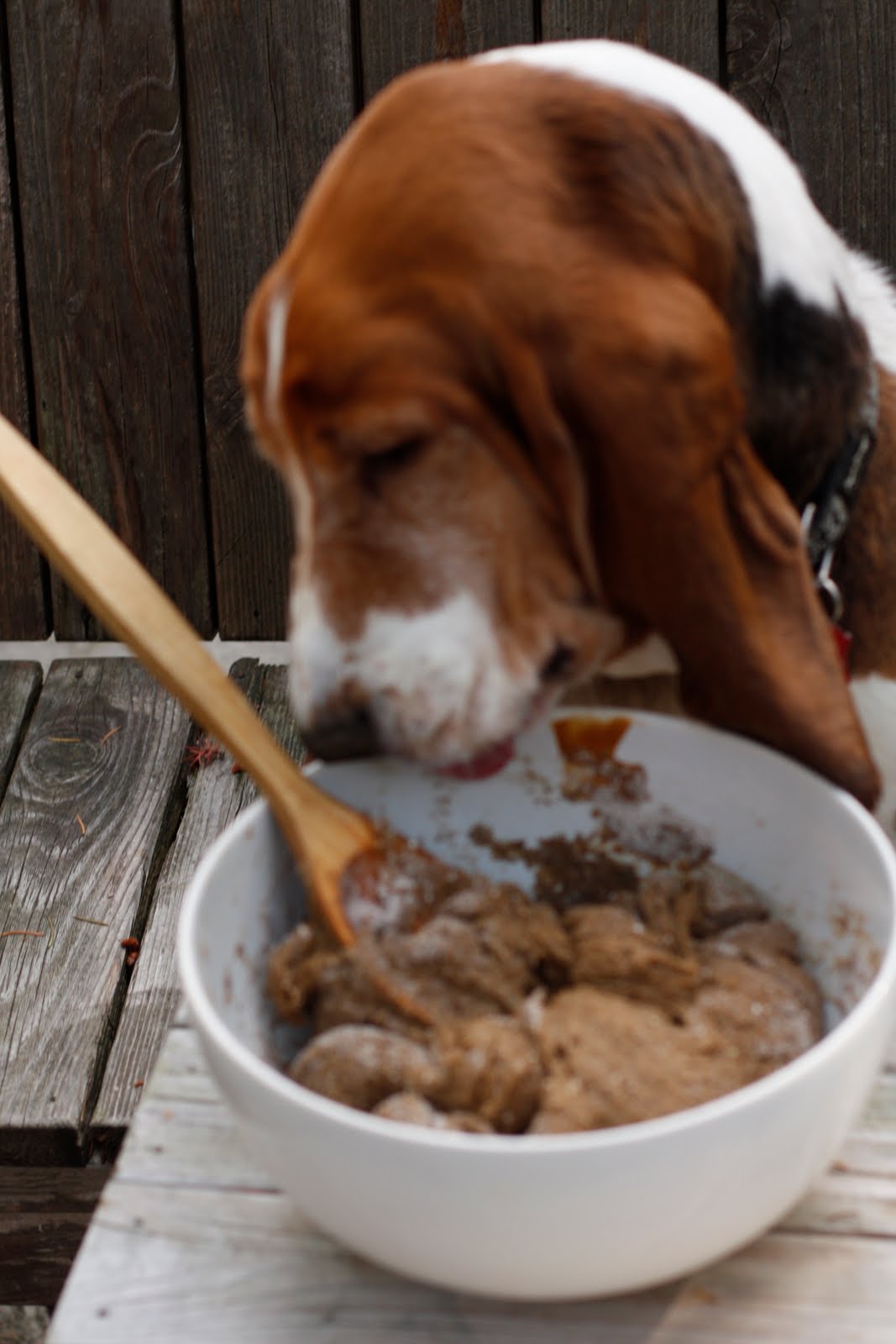 Food Connections BuckwheatPumpkin Dog Biscuits