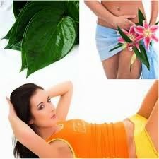 cara mudah mempersempit lubang vagina cara mudah mempersempit lubang vagina