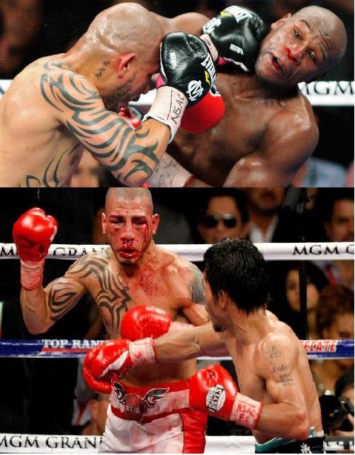 [Obrazek: floyd+mayweather+manny+pacquiao+memes+co...+cotto.jpg]