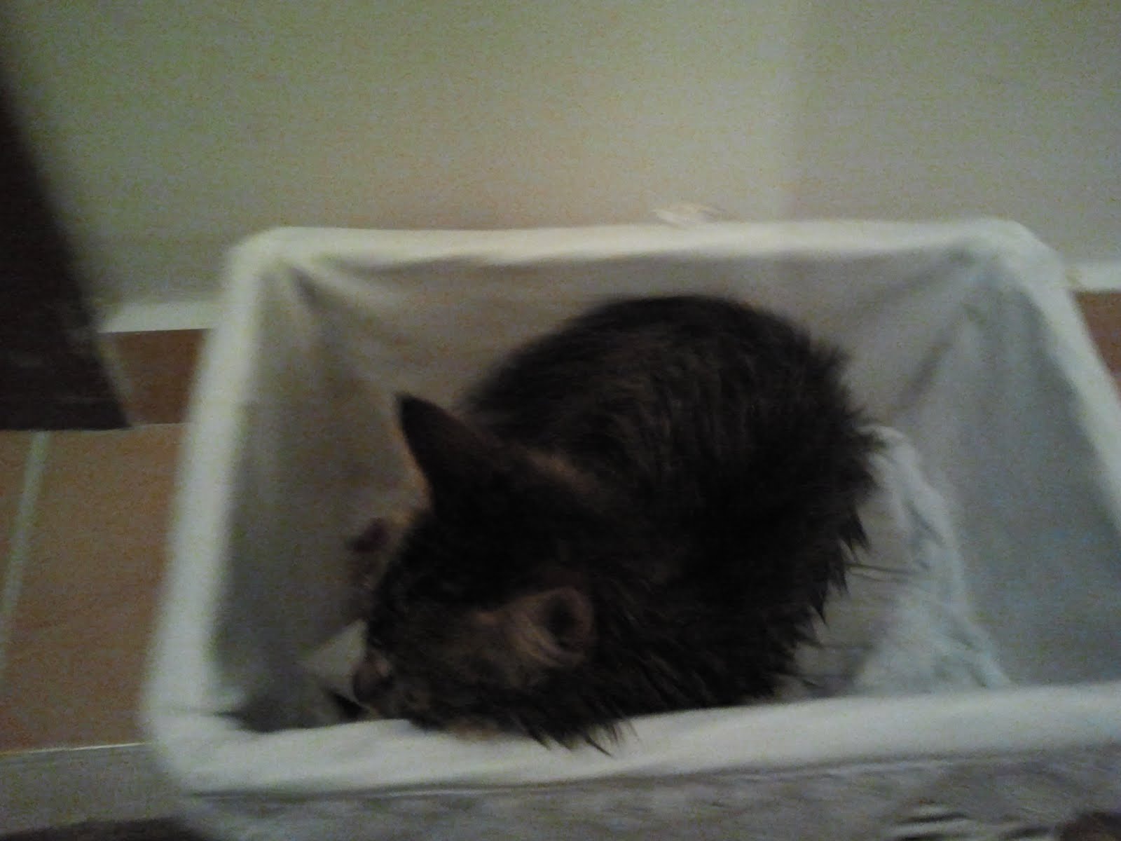 => Köşe Başındaki Dükkan Aralık 2012