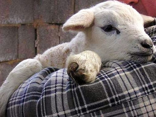 lettre de motivation nous pourrions nous rencontrer