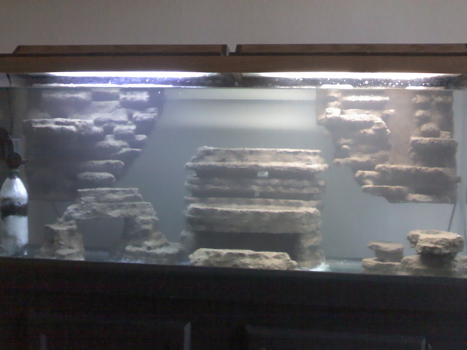 Jose's DIY Ideas Styrofoamcement aquarium background