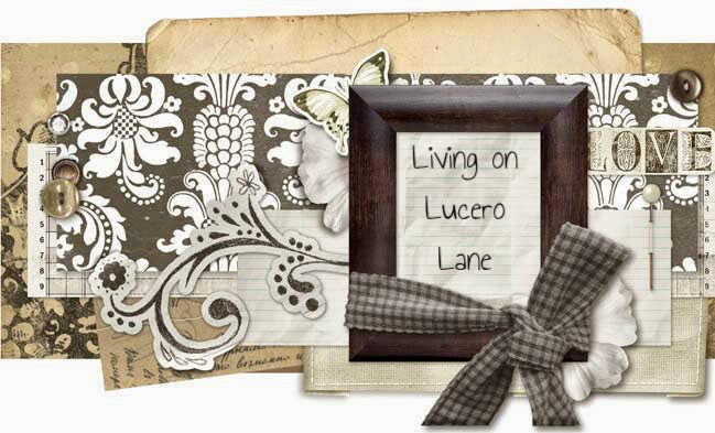 Living on Lucero Lane