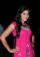 Settai movie audio launch function Settai movie audio launch function