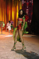 Adriana Lima looking gorgeous in red lingerie on the runway 