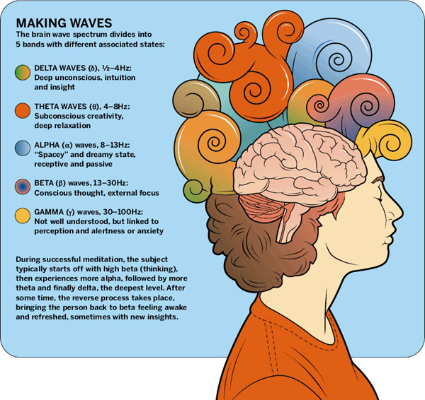brain wave levels