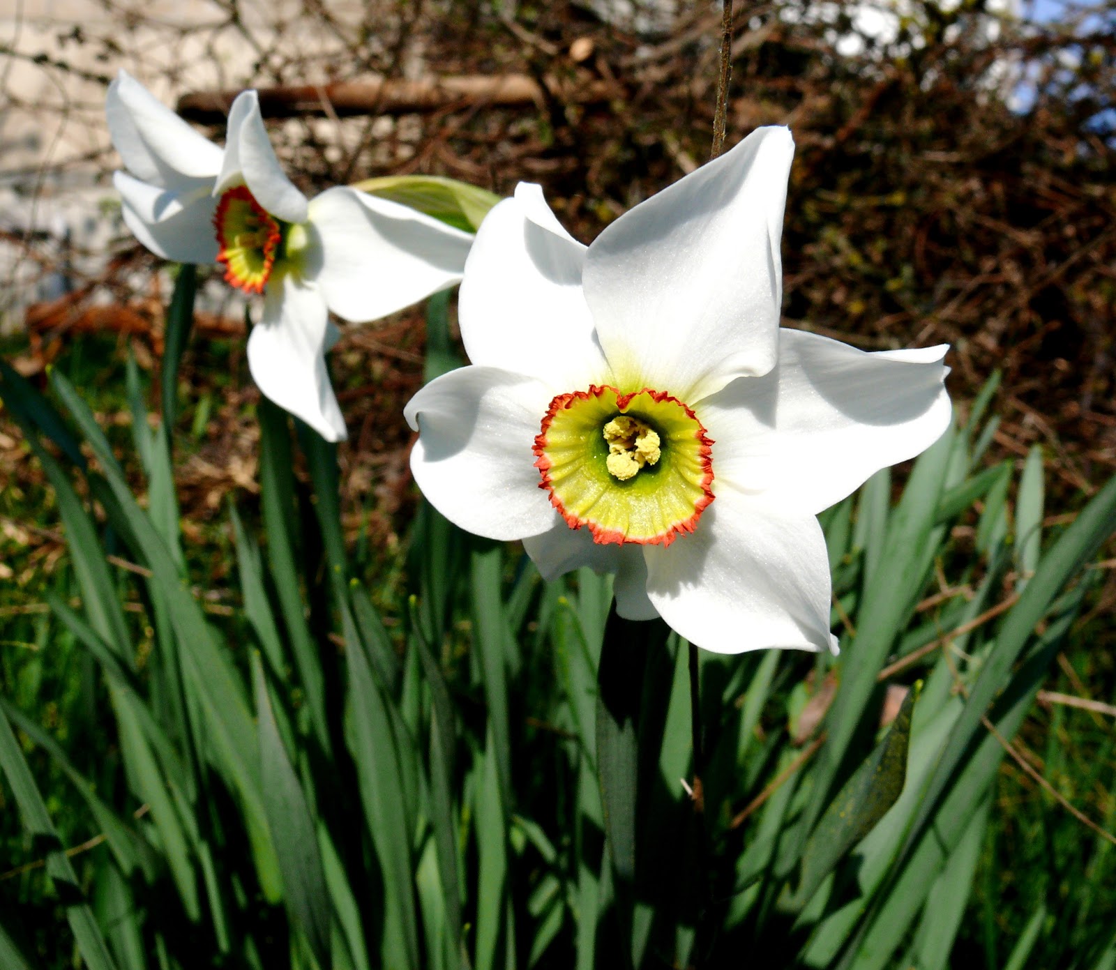 šis tas apie šį tą (291) Visiškai tarp kitko gražu be prieskonio ir su