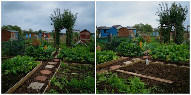 allotment - start of October