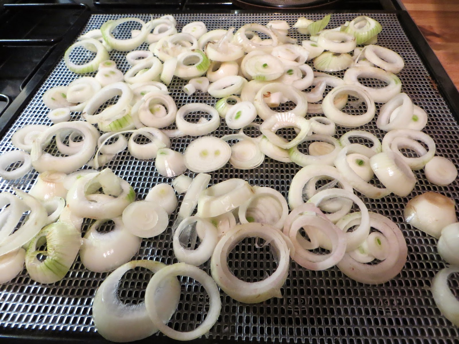 onions ready for dehydration