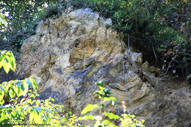Kaiserstuhl Badberg Badloch Steinbruch Karbonatit