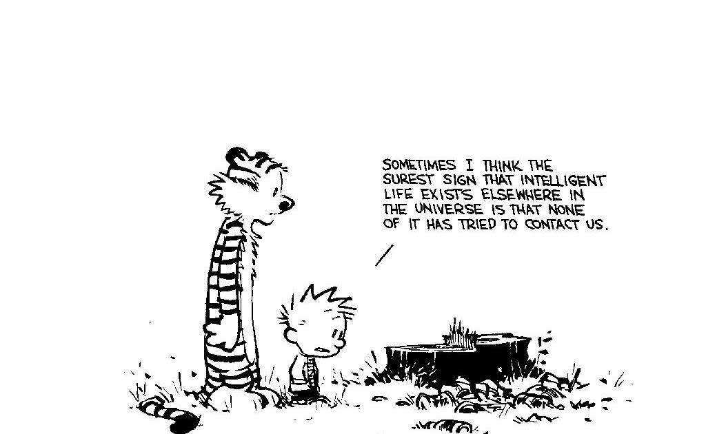 Das Buchprojekt Calvin & Hobbes