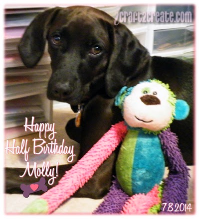 Molly's Half Birthday! Molly, puppy, dog, monkey, chew toy, half birthday, July, Lettering Delights, digital, photoshop