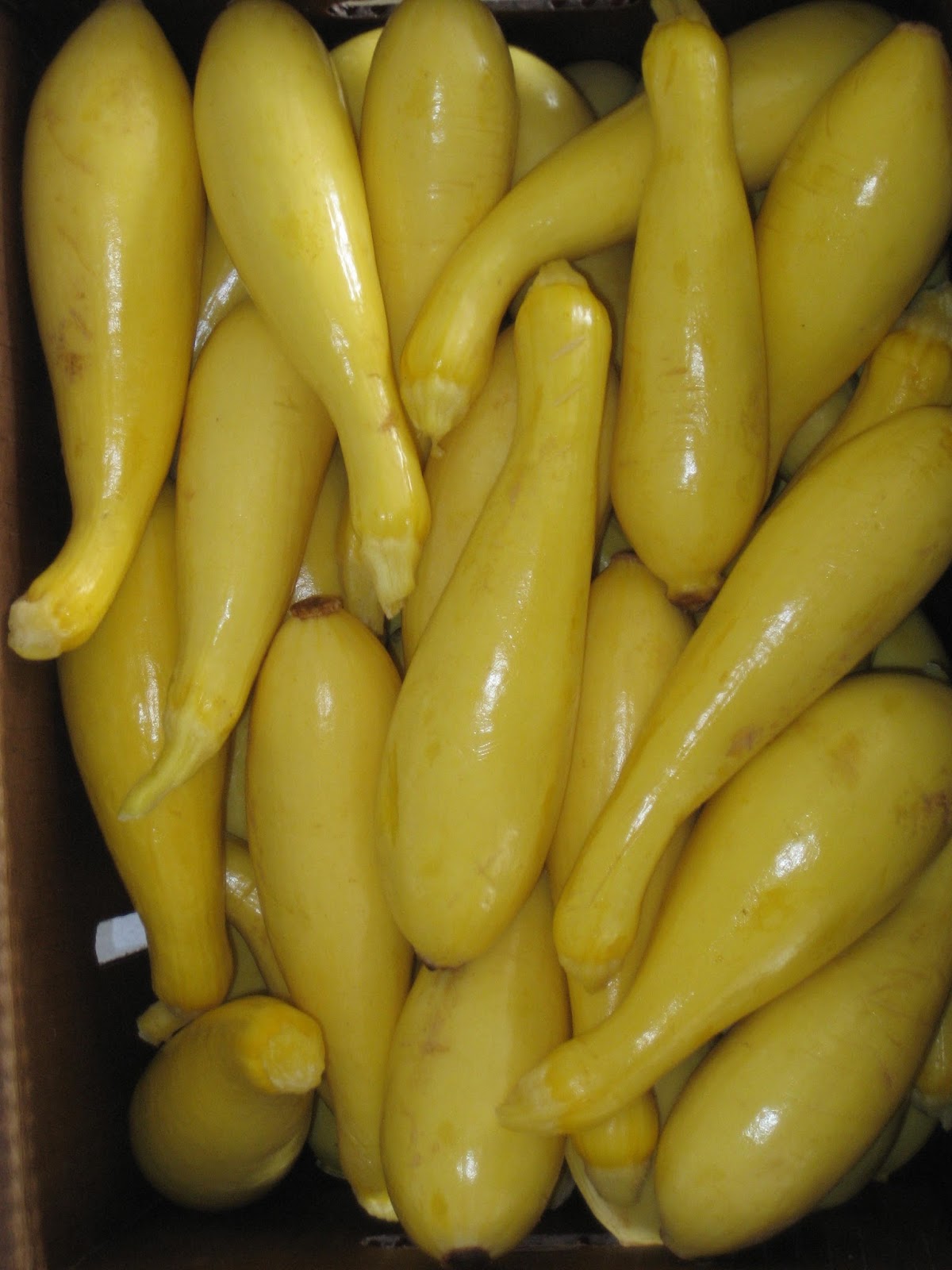 Owl Creek Produce Auction Thank you for using this blog page for your