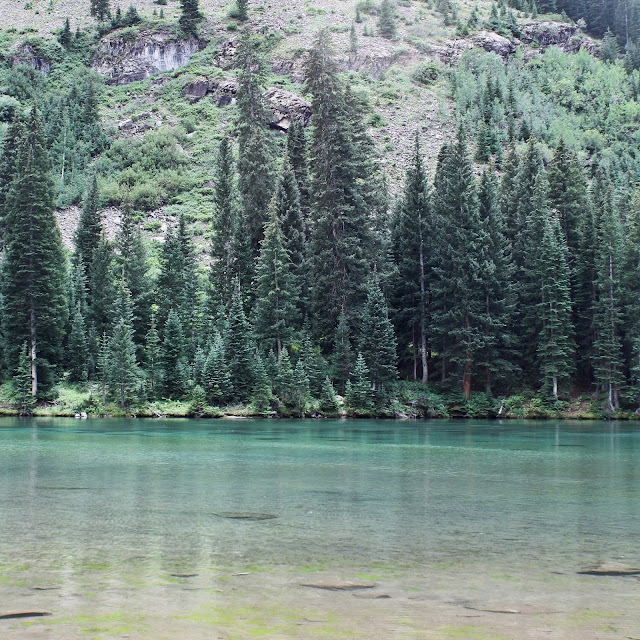 Sparrows & Spatulas hiking mondays aspen