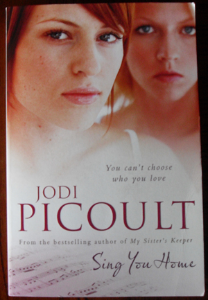 picture perfect jodi picoult pdf
