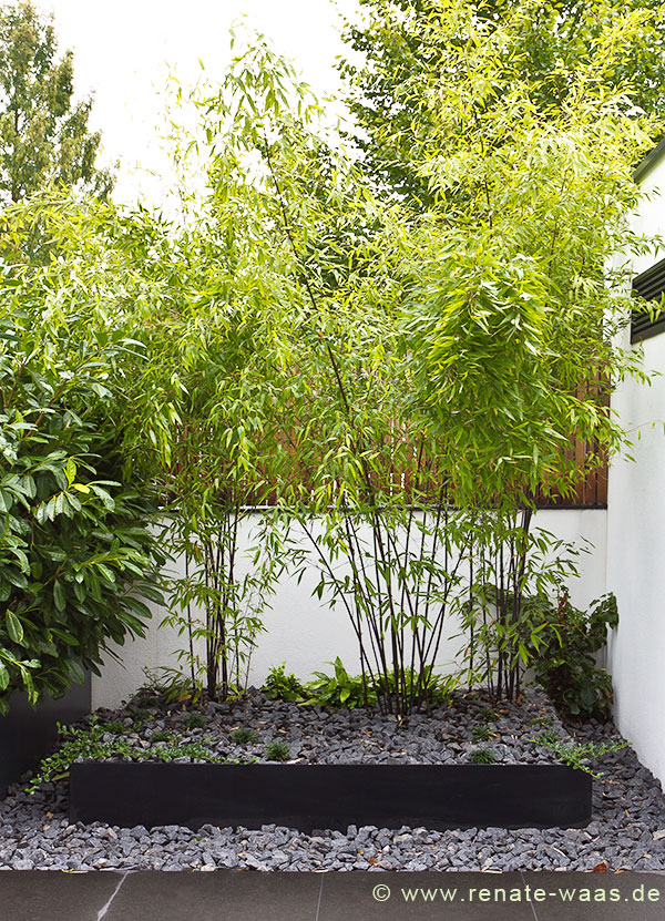 Gartenblog zu Gartenplanung, Gartendesign und ...
