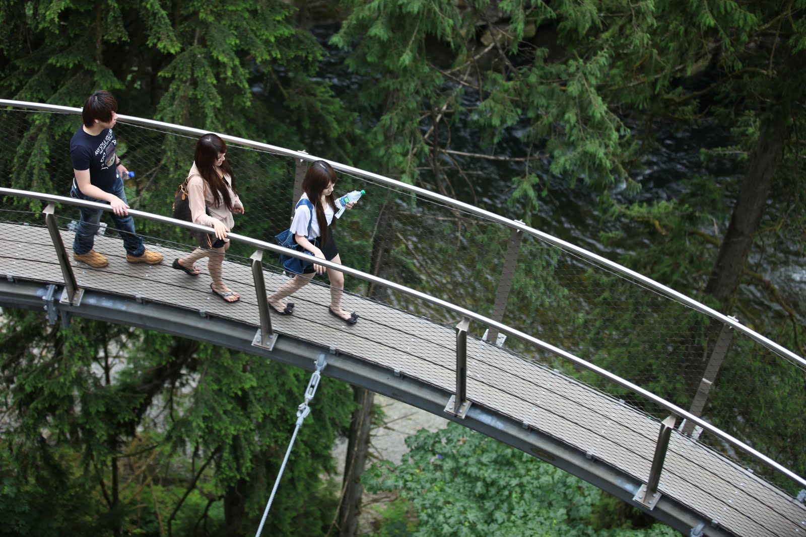 Mi Hotel Favorito Puentes Colgantes en Vancouver. "Capilano Suspension