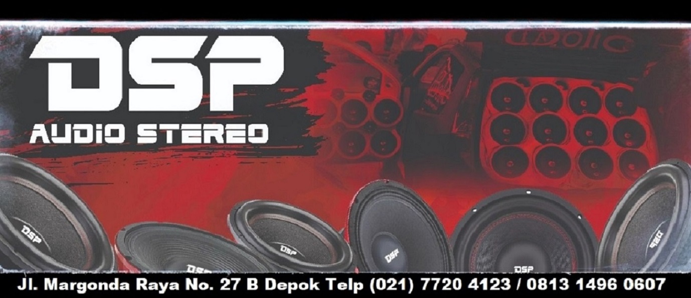 DSP AUDIO STEREO