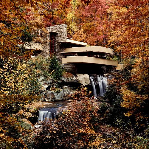 falling water house