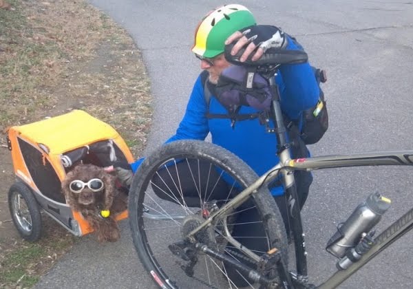 Cooper the Dog on the Wheeling Bike Trail