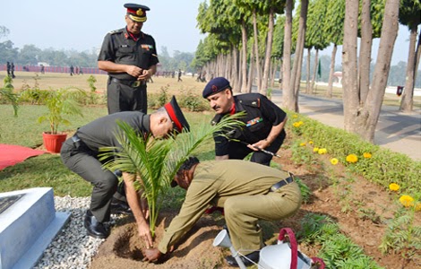 tree plantation essay