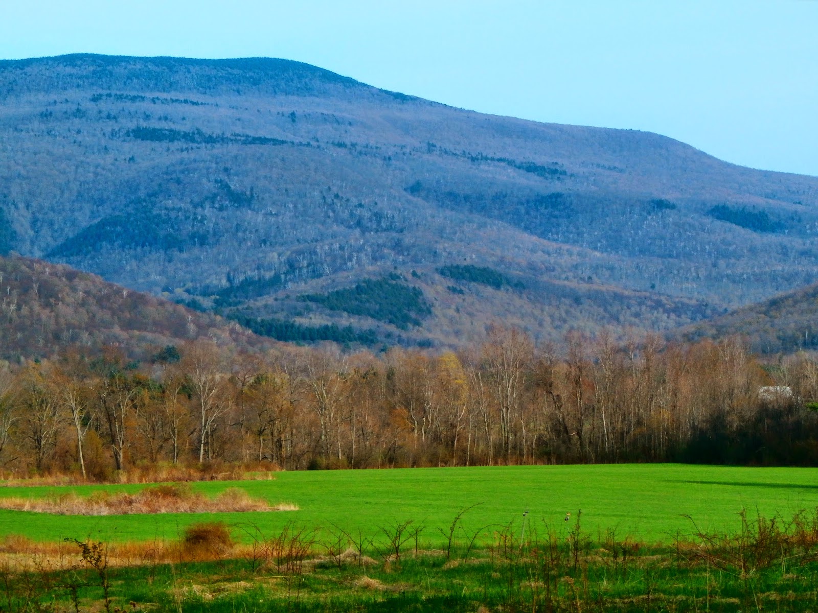 Walking Man 24 7 Williamstown(Field Farm/ Mt Hope Park/ Sheep Hill)