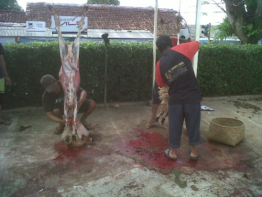 Qurban Yamsik - Happy Eid Al-Adha 1432 H