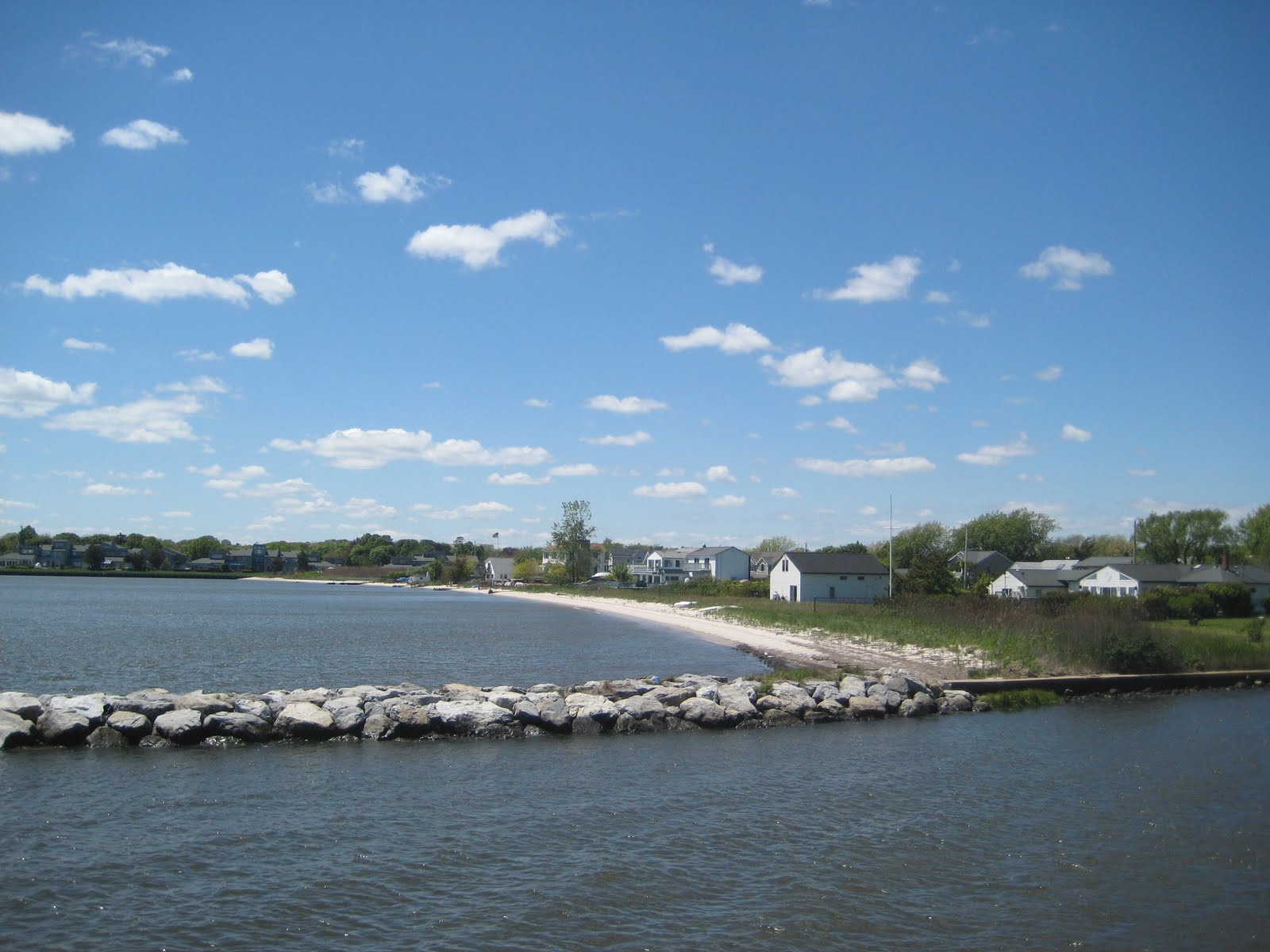 Long Island's Garden Girl Plants for Long Island’s Shores