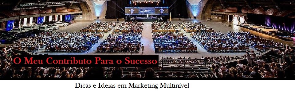 O meu contributo para o sucesso